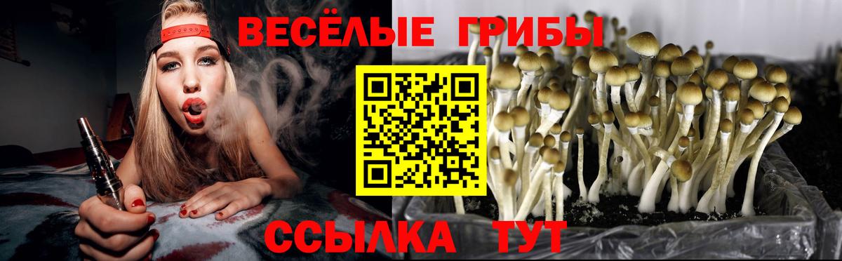 Вольск  Псилоцибиновые грибы ЛСД  Вход с VPN 